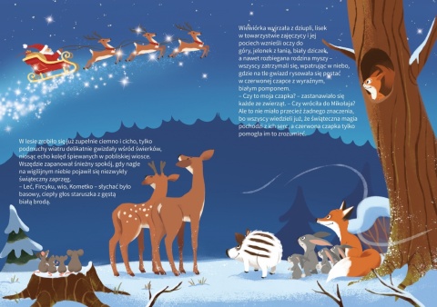 Książka dla dzieci CZAPKA MIKOŁAJA świąteczne opowiadanie o zwierzętach