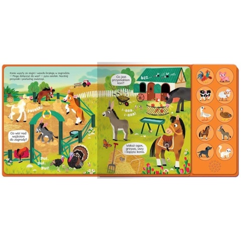 Książka dla dzieci Słuchamy zwierząt! Na wsi. 10 odgłosów Książeczka z dźwiękami