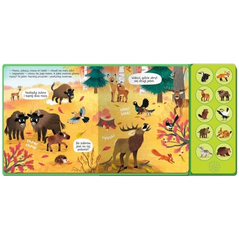 Książka dla dzieci Słuchamy zwierząt! W lesie. 10 odgłosów Książeczka z dźwiękami