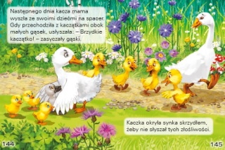 Książka dla dzieci BRZYDKIE KACZĄTKO bajki opowiadanie duża czcionka