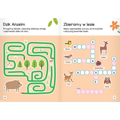 Łamigłówki przedszkolaka z wiewiórką od 5 lat Krzyżówki, labirynty