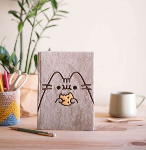 Notatnik pamiętnik pluszowy kot kotek Pusheen