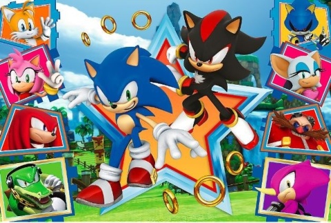 SONIC Poznaj Sonica Puzzle TREFL 100 EL 16465