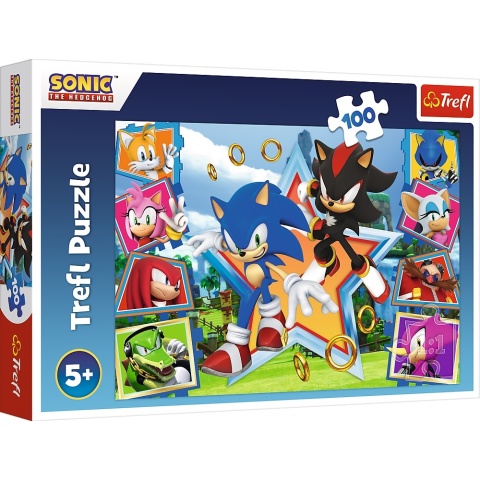 SONIC Poznaj Sonica Puzzle TREFL 100 EL 16465