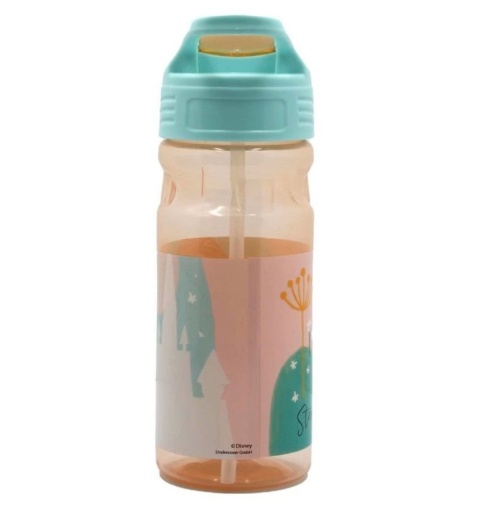 Bidon butelka na wodę z ustnikiem Kraina lodu Anna 550ml