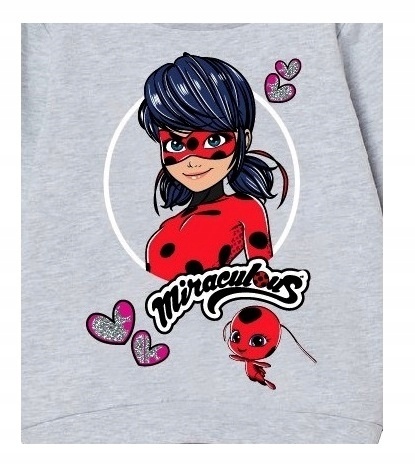 Bluza BIEDRONKA I CZARNY KOT bluza dresowa dziewczęca dziecięca 116