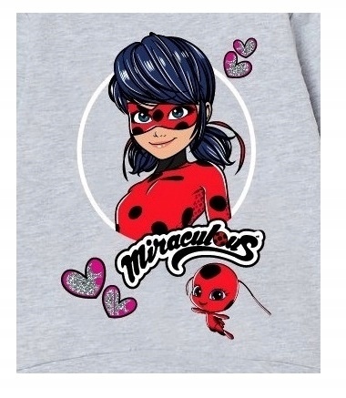 Bluza BIEDRONKA I CZARNY KOT bluza dresowa dziewczęca dziecięca 122