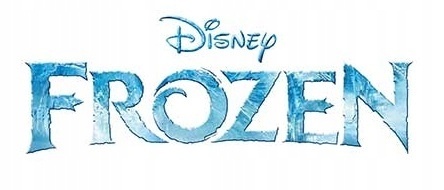 Skarpety skarpetki KRAINA LODU FROZEN FROTTE dziecięce ciepłe 23-26