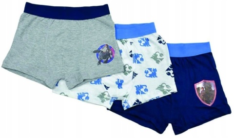 Bokserki JAK WYTRESOWAĆ SMOKA chłopięce majtki dziecięce 3pak 110/116