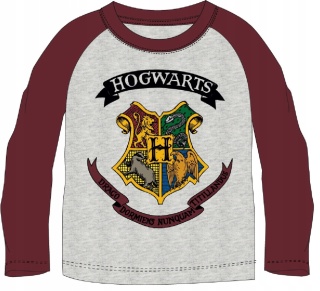 Bluzka t-shirt Harry Potter długi rękaw 158