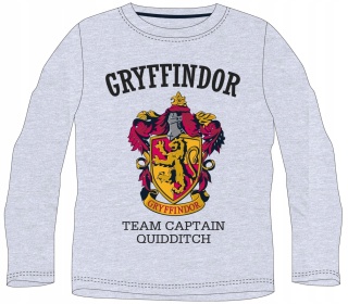 Bluzka t-shirt Harry Potter długi rękaw 164