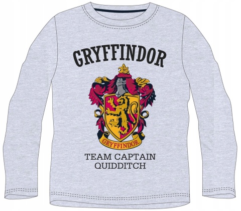Bluzka t-shirt Harry Potter długi rękaw 164