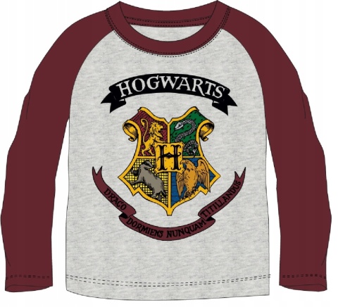 Bluzka t-shirt Harry Potter długi rękaw 164