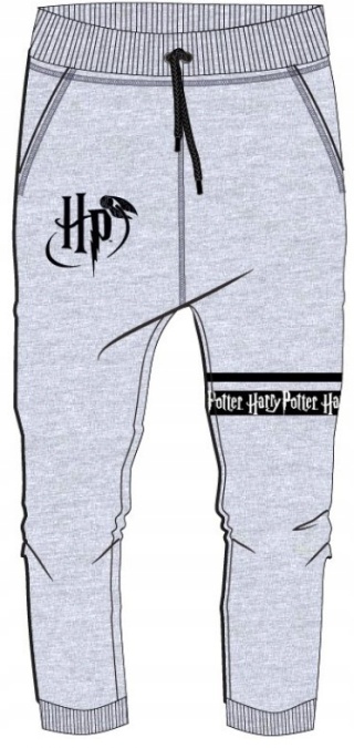 Spodnie dresowe HARRY POTTER ocieplane r 134