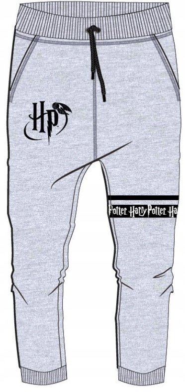 Spodnie dresowe HARRY POTTER ocieplane r 134