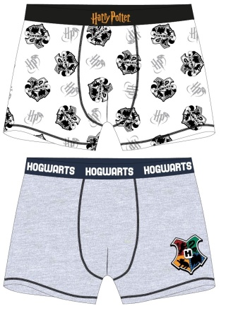 Bokserki chłopięce HARRY POTTER 2pak 134/140