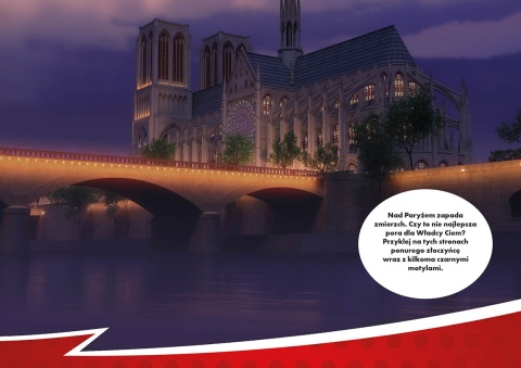 Biedronka i Czarny Kot książka do wyklejania naklejki wielorazowego użytku