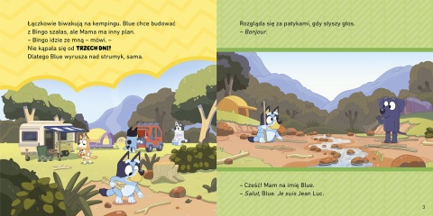 Bingo i Bluey Kemping Moja czytanka opowiadania