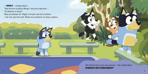 Bingo i Bluey Strumyk Moja czytanka opowiadania