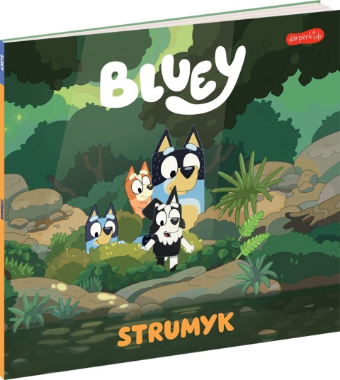 Bingo i Bluey Strumyk Moja czytanka opowiadania