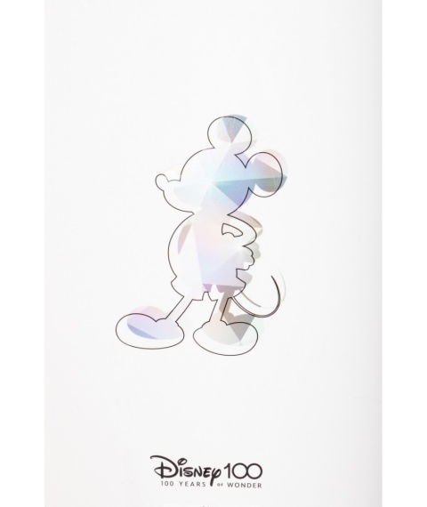 LILO I STITCH notes kołonotatnik planer kalendarz zapinany na gumkę