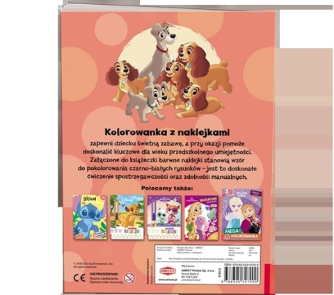 Disney Classic korki kolorowanka z naklejkami