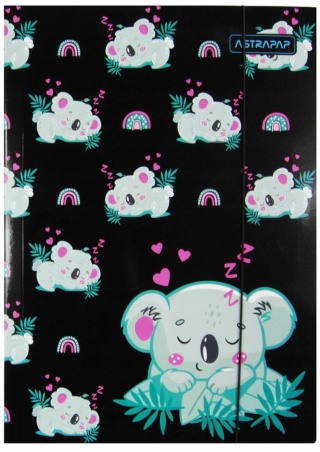 Teczka z gumką A4 szkolna na dokumenty rysunki koala śpioszek