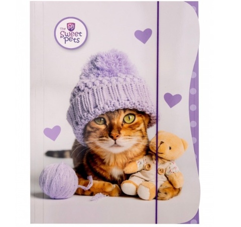 Teczka z gumką A4 na dokumenty rysunki kot kociak