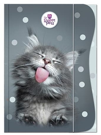 Teczka z gumką A4 na dokumenty rysunki kot kotek kociak Benjamin