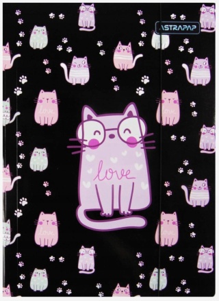 Teczka z gumką A4 na dokumenty rysunki kotki kociaki kot