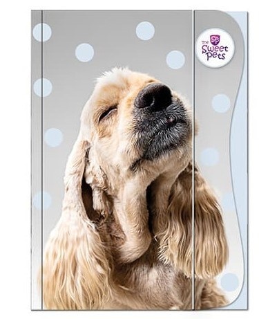 Teczka z gumką A4 na dokumenty rysunki pies piesek szczeniak Benjamin