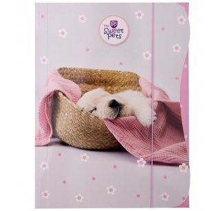 Teczka z gumką A4 na dokumenty rysunki pies piesek