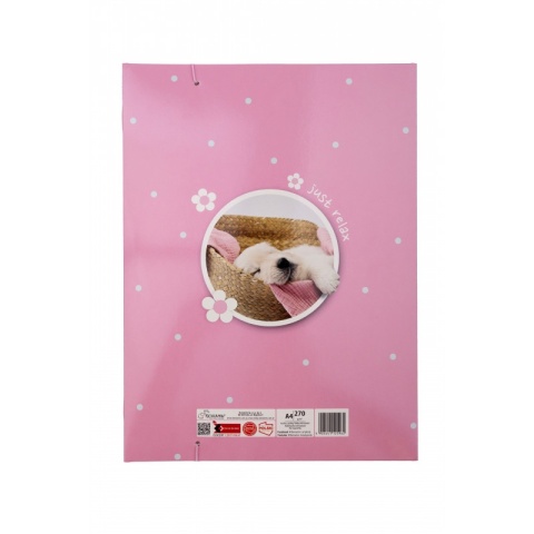 Teczka z gumką A4 na dokumenty rysunki pies piesek