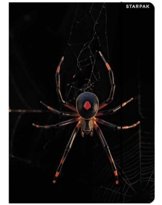 Teczka z gumką A4 na dokumenty szkolna rysunkowa pająk czarna wdowa 1szt