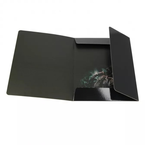 Teczka z gumką A4 na dokumenty szkolna rysunkowa pająk ptasznik czarna 1szt