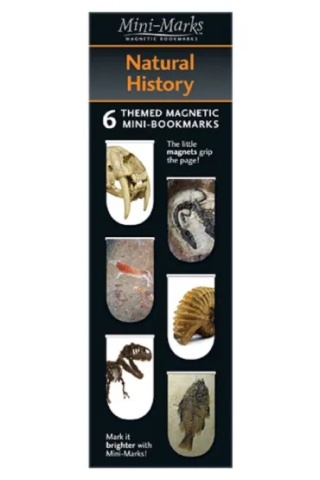Zakładka magnetyczna zakładki magnetyczne do książki skamieliny 6 szt