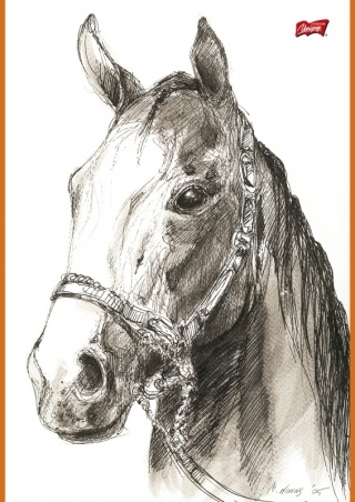 Szkicownik A4 20 kartek 80g/m koń konie UNIPAP