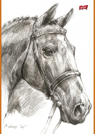 Szkicownik A4 20 kartek 80g/m koń konie UNIPAP