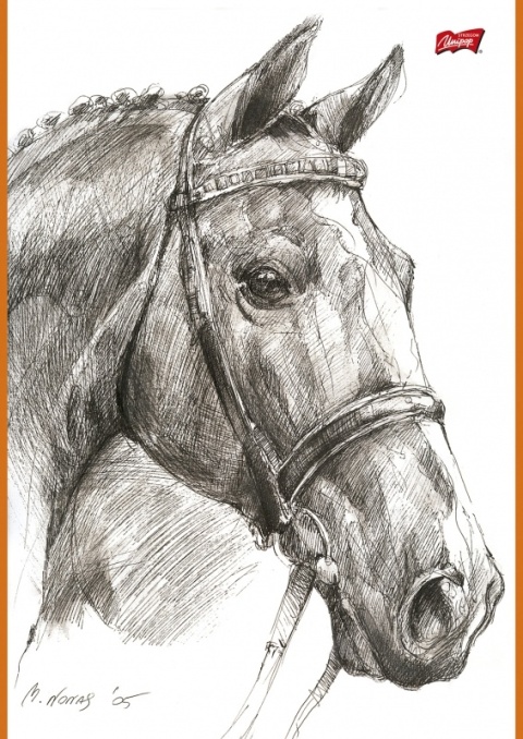 Szkicownik A4 20 kartek 80g/m koń konie UNIPAP