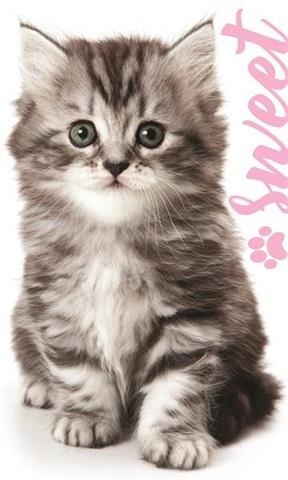 Ręcznik do przedszkola rąk KOT KOCIAK 30X50