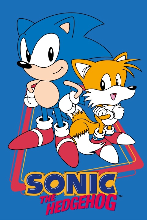 Ręcznik do rąk i twarzy przedszkola Sonic 30X50