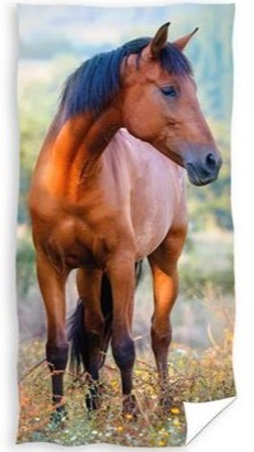 Ręcznik do rąk przedszkola KOŃ MUSTANG 30X50