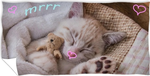 Ręcznik kąpielowy plażowy kot kotek 70x140