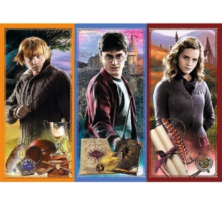 HARRY POTTER W świecie magii i czarów Puzzle TREFL 200 EL 13277