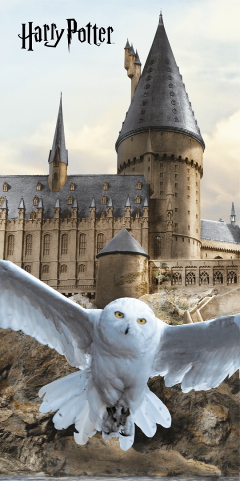 Ręcznik kąpielowy bawełniany plażowy Harry Potter Hogward Hedwiga 70x140