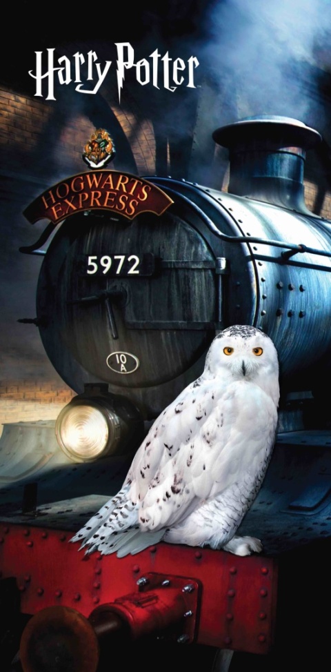 Ręcznik kąpielowy bawełniany Harry Potter Hogward ekspres sowa 70x140