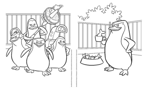 Pingwiny z Madagaskaru Kolorowanka Malbuch Colouring book