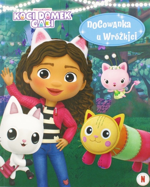 Koci domek Gabi nocowanka u Wróżkici książka do czytania