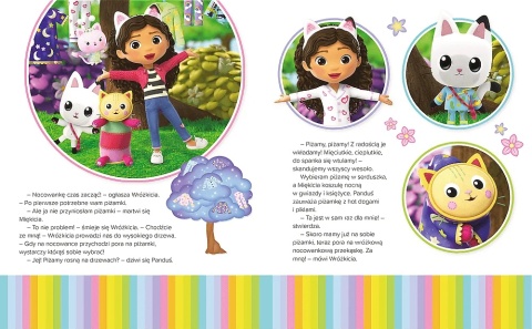 Koci domek Gabi nocowanka u Wróżkici książka do czytania