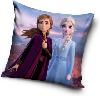 Kraina Lodu Frozen II welurowa poduszka jasiek dla dzieci 40x40cm